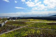 Environmental Green Roof Eco roofs are economical
