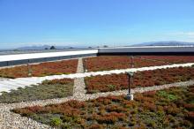 #greenroofaus UHIE