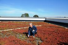 Bogota, Columbia 2016 research study Researching the minimum requirements for a green roof